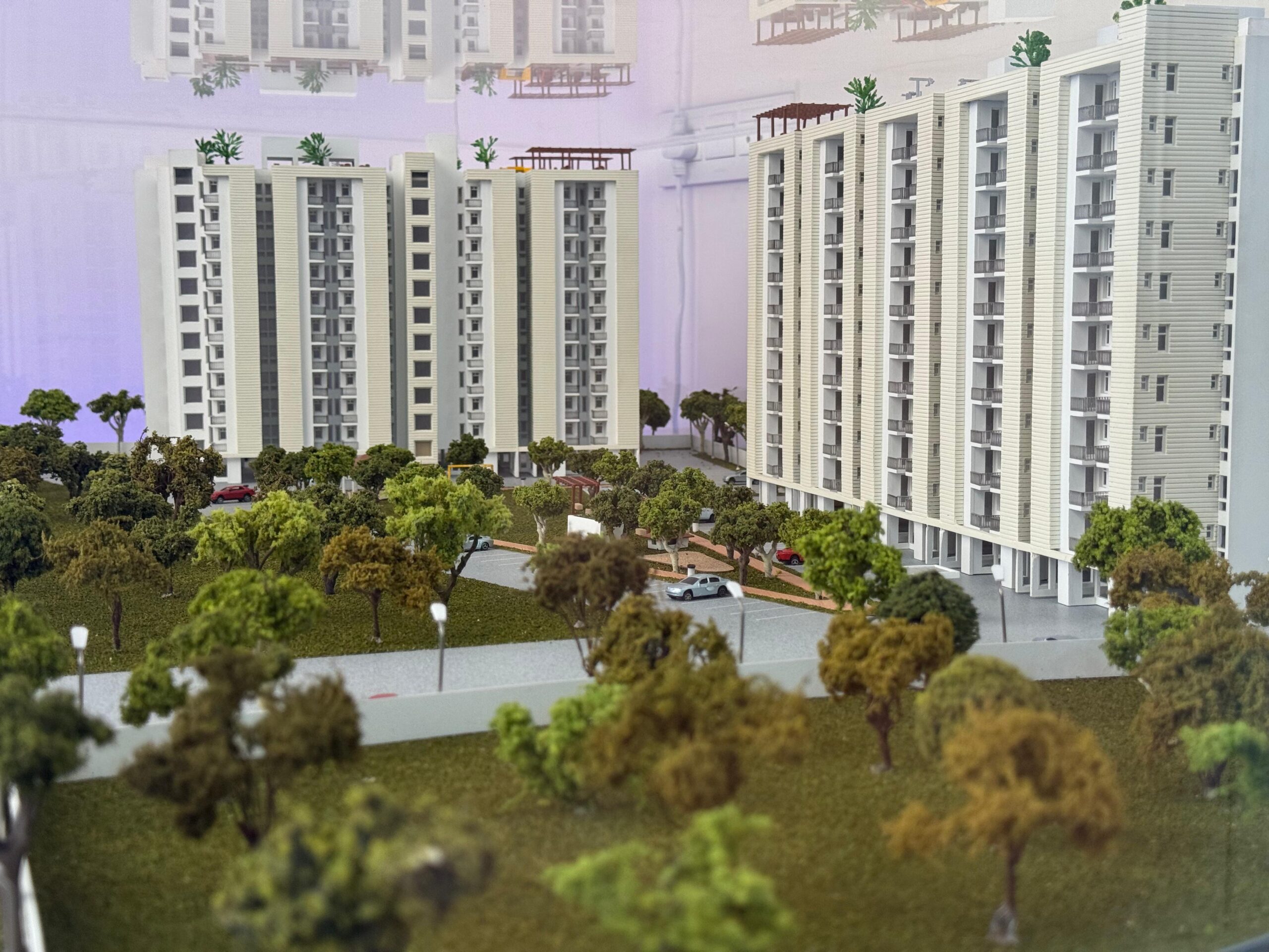 WhatsApp Image 2026-01-25 at 5.06.53 PM