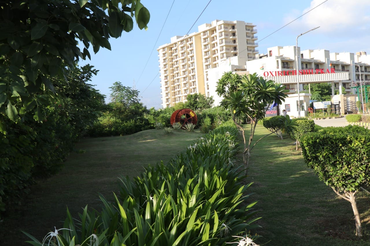 WhatsApp Image 2026-01-25 at 5.07.17 PM (1)